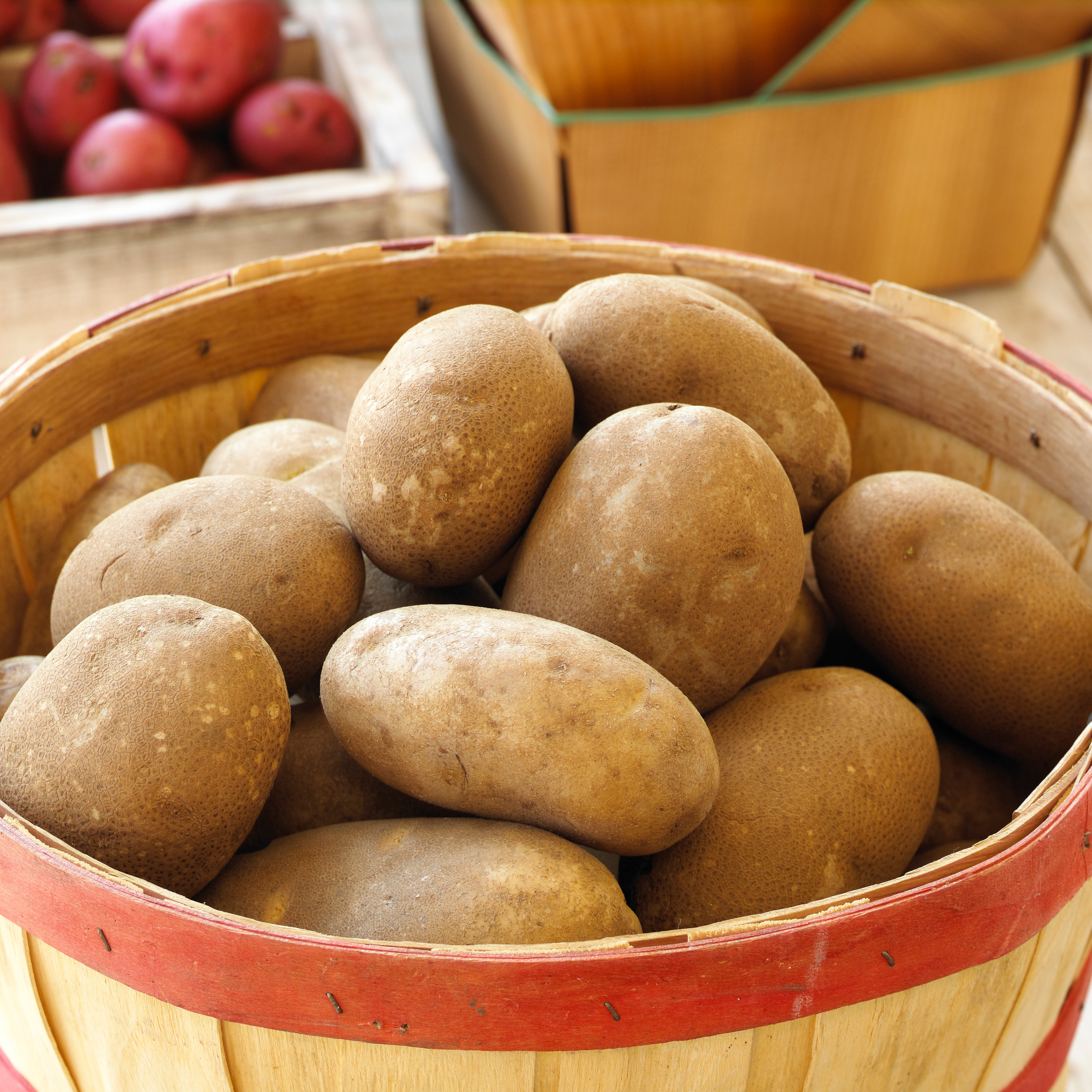 Russet Potatoes